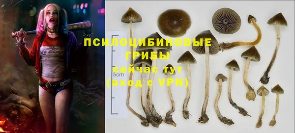 тгк Баксан